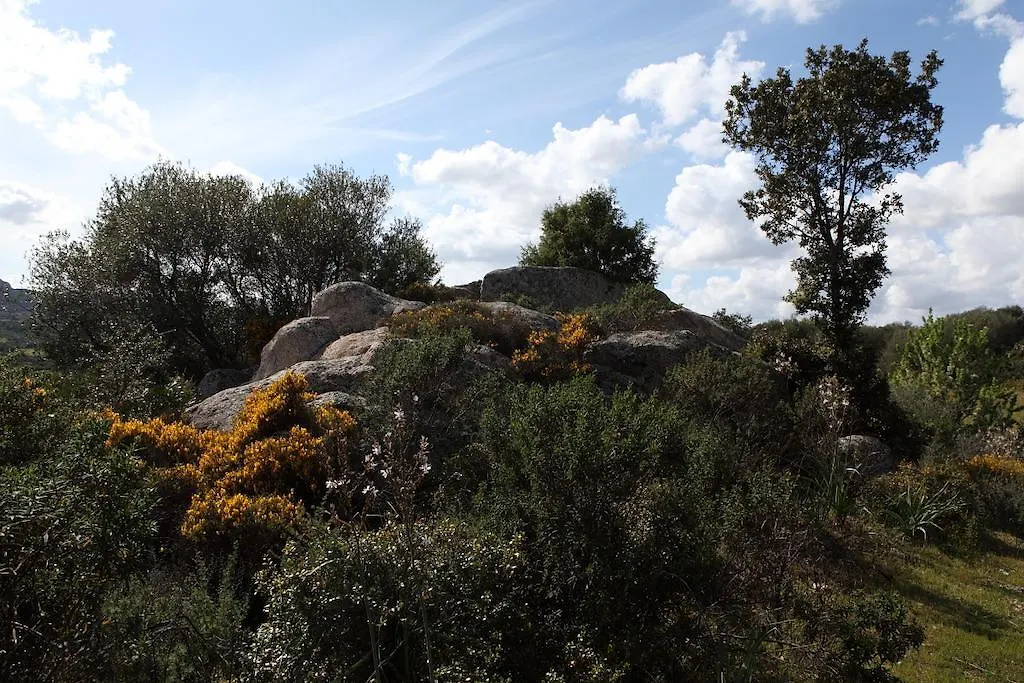 B&B Terra E Smeralda Arzachena Bed & Breakfast